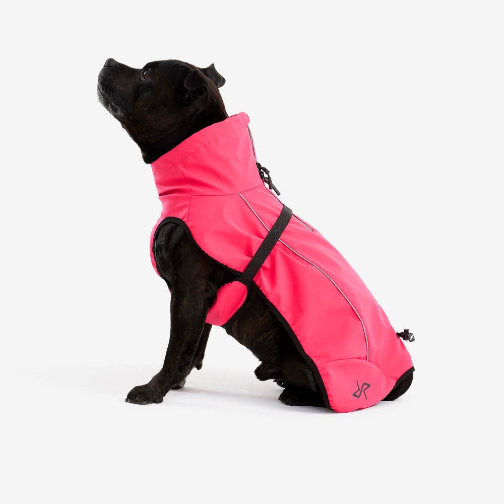 Cyclone Dog Jacket