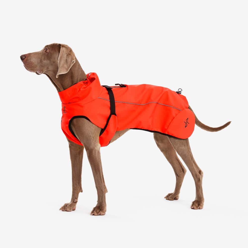 Cyclone Dog Jacket