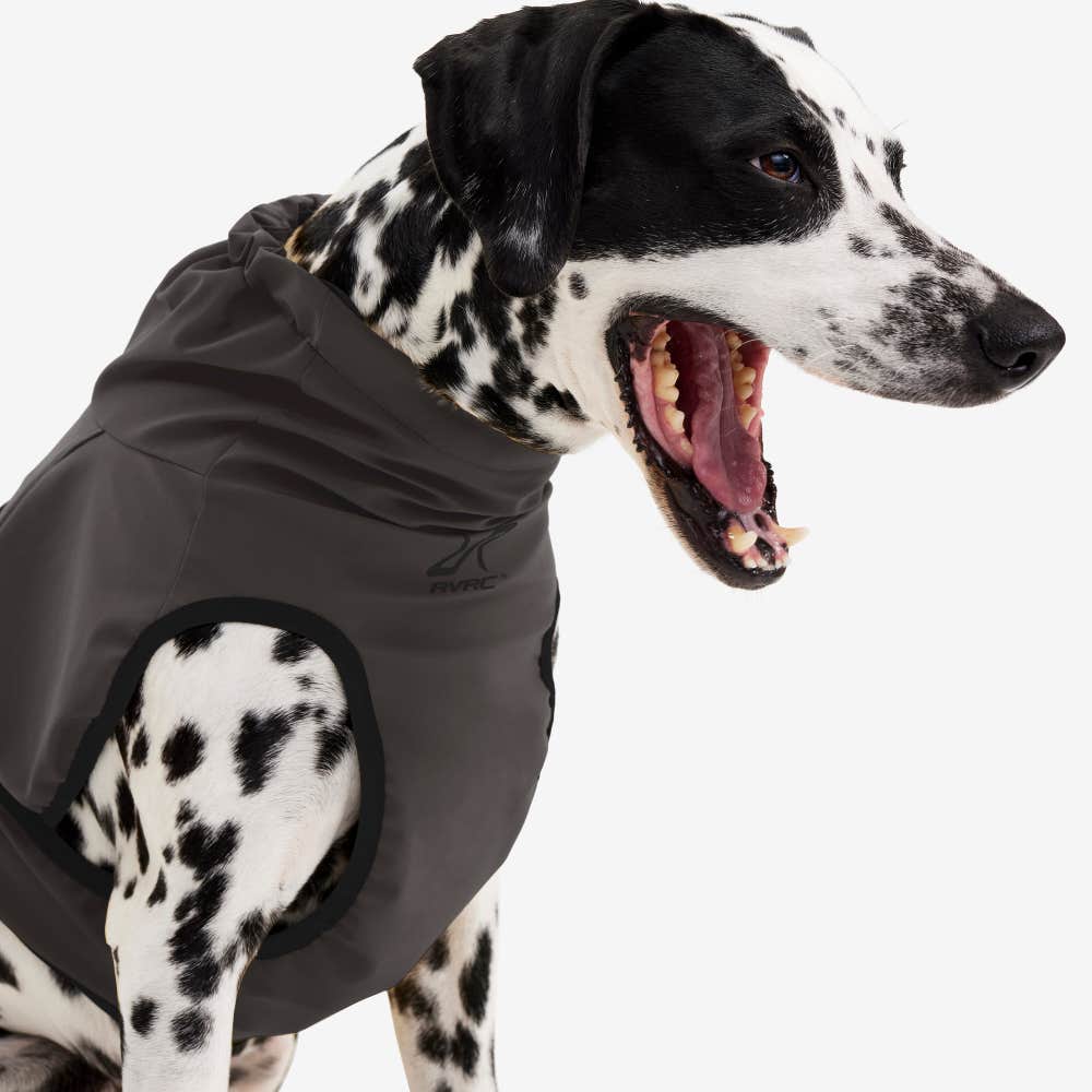 Cyclone Dog Jacket