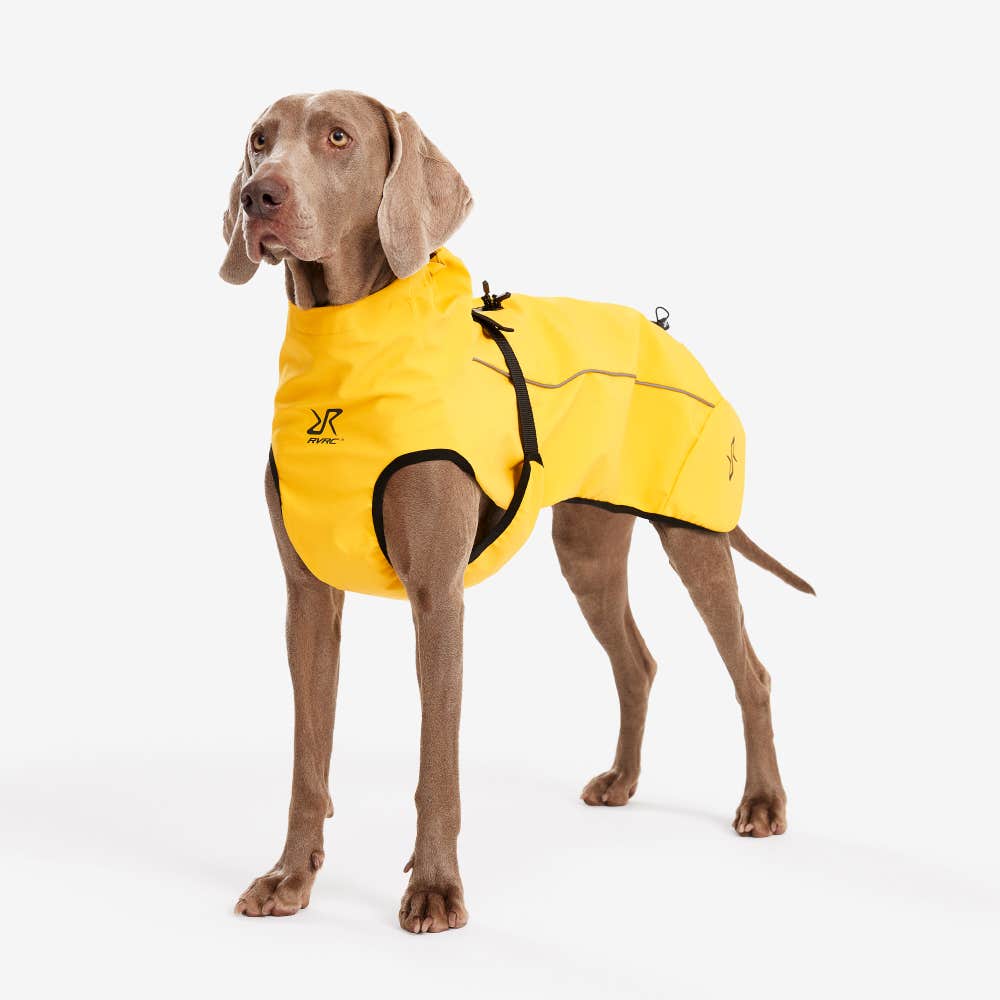 Cyclone Dog Jacket