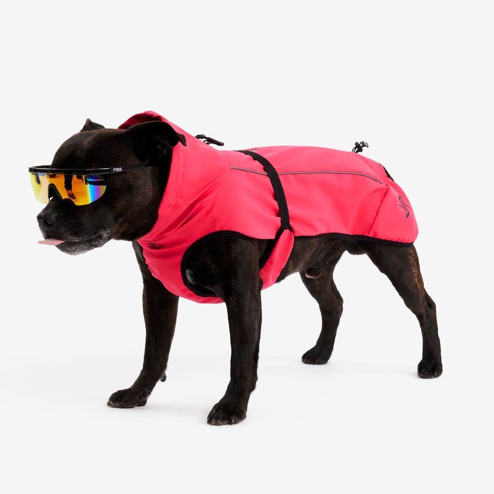 Cyclone Dog Jacket