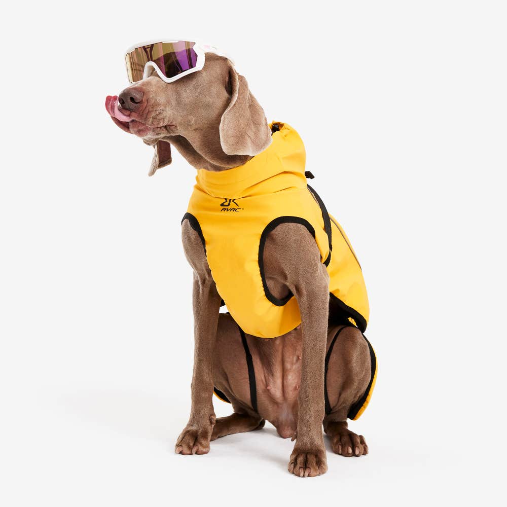 Cyclone Dog Jacket