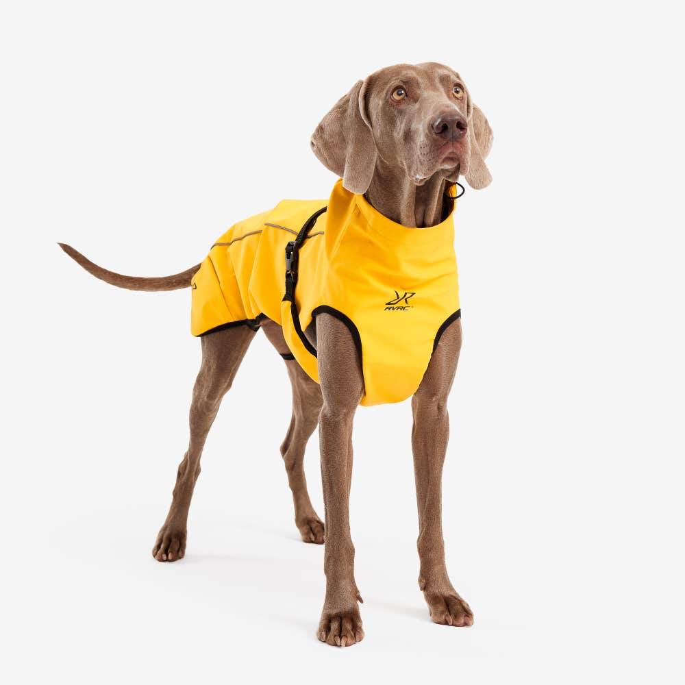 Cyclone Dog Jacket