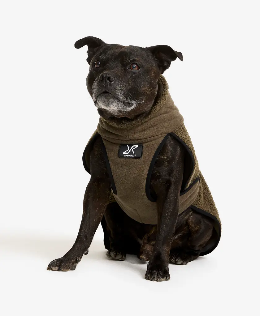 Bigfoot Dog Jacket Dog