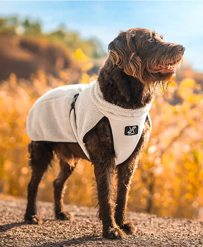 Bigfoot Dog Jacket Dog