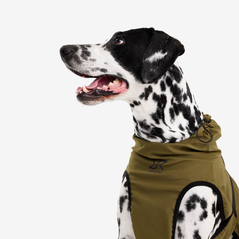 Cyclone Dog Jacket