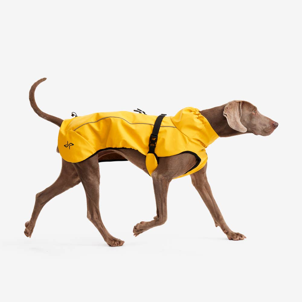 Cyclone Dog Jacket