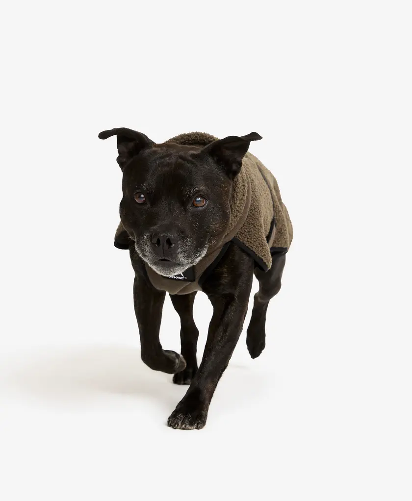 Bigfoot Dog Jacket Dog