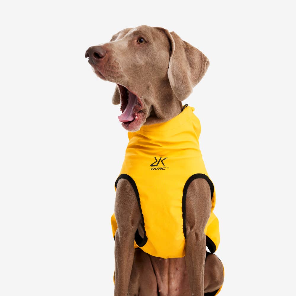 Cyclone Dog Jacket