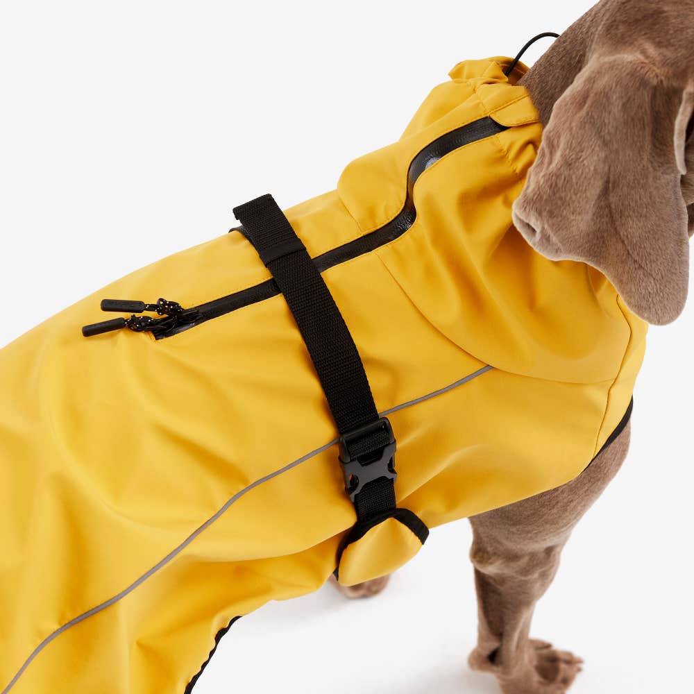 Cyclone Dog Jacket